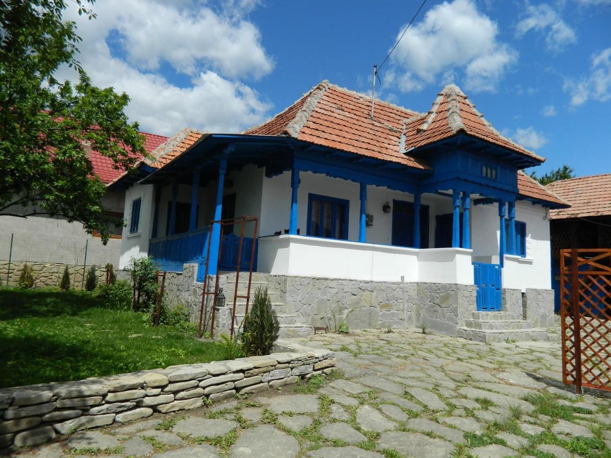 Вілла Casa De Vacanta Traditionala Romaneasca Schiulesti Екстер'єр фото