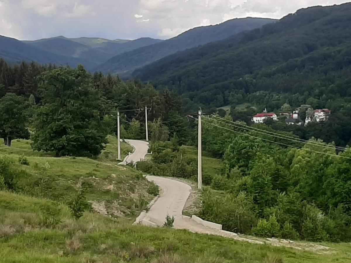 Вілла Casa De Vacanta Traditionala Romaneasca Schiulesti Екстер'єр фото